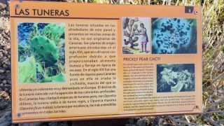 2024-01-Parque_Arquéologico_Maipés-11.jpg